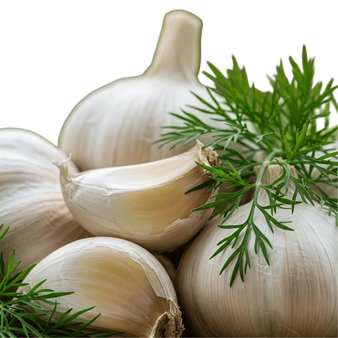 The Art of Gourmet Cooking: Elevate Your Home Kitchen - Tubac Gourmet Foods