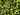 a pile of green olives and olives next to each other