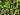 a pile of green olives and olives next to each other