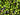 a pile of green olives and olives next to each other
