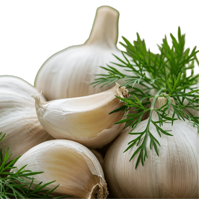 The Art of Gourmet Cooking: Elevate Your Home Kitchen - Tubac Gourmet Foods