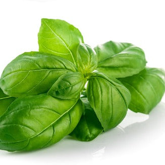 Basil Olive Oil