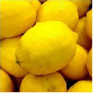 Lemon Dark Balsamic Vinegar, 375ml 12 Bottle. - Tubac Gourmet Foods