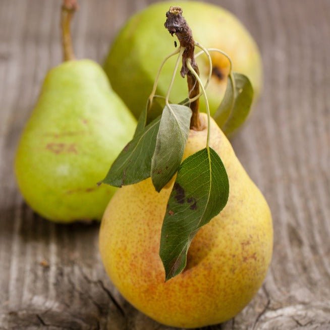 Pear White Balsamic Vinegar, 375 ml. Bottle - Tubac Gourmet Foods