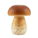 Porcini Mushroom Olive Oil - Tubac Gourmet Foods