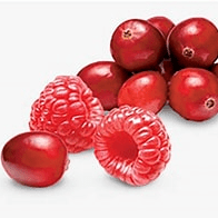 Raspberry Cranberry White Balsamic Vinegar, 375 ml. Bottle - Tubac Gourmet Foods