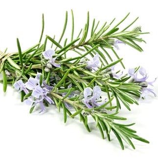 Rosemary Olive Oil - Tubac Gourmet Foods