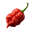 Scorpion Pepper Olive Oil - Tubac Gourmet Foods
